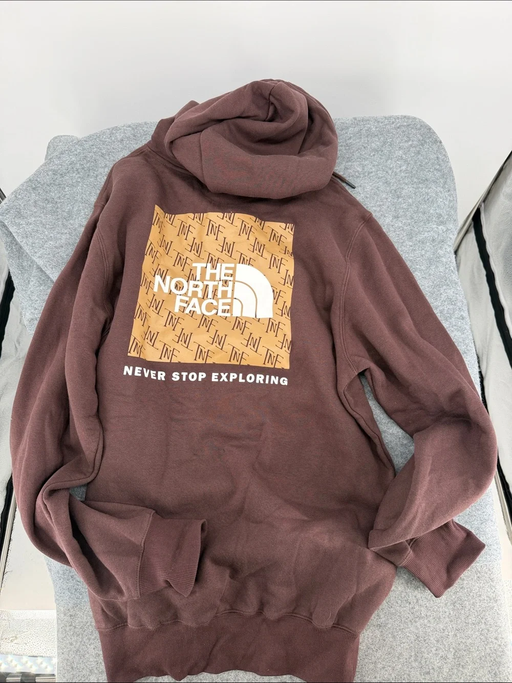 The North Face coal brown white logo Hooded Pullover rare Sweatshirt NWT Large